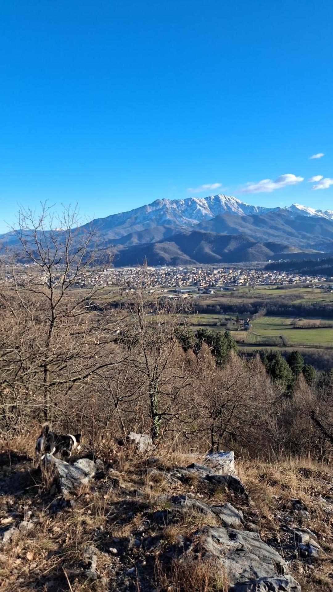Hotel La Primula Borgo San Dalmazzo Zewnętrze zdjęcie